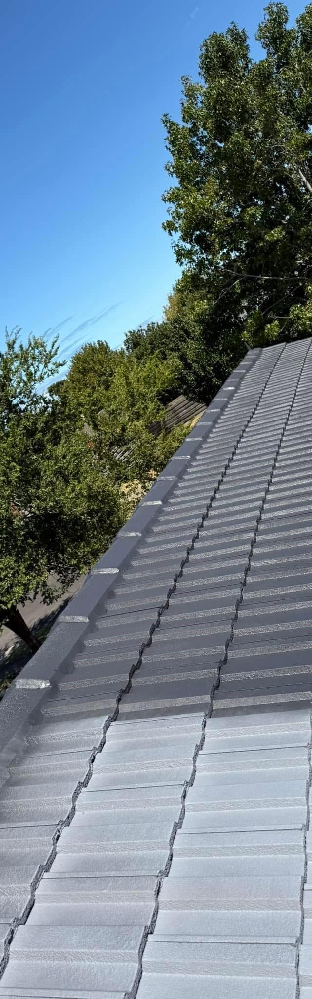 Advance Roof Care and painting