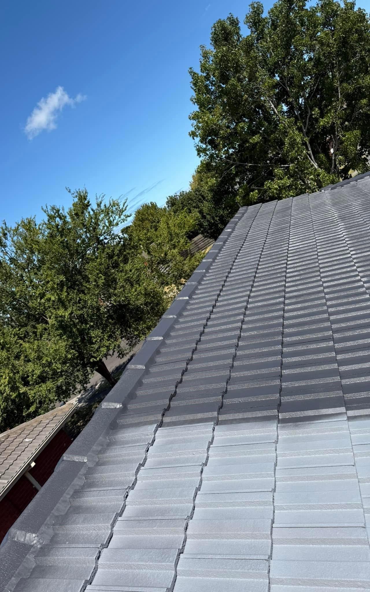 Advance Roof Care and painting