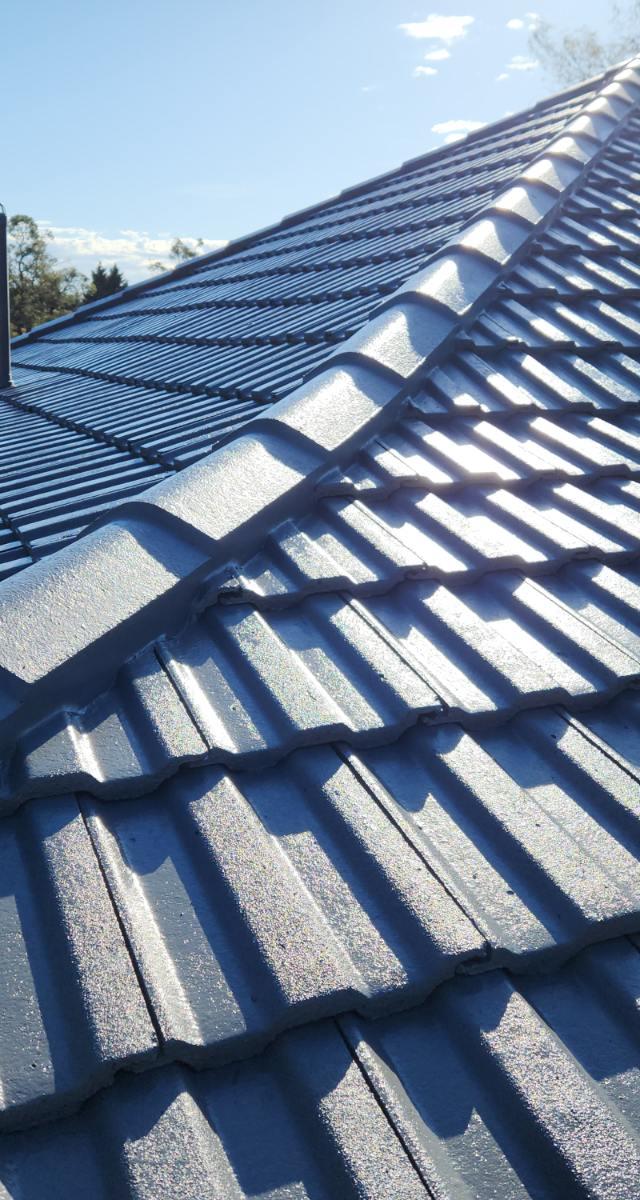 Advanced Roof Care