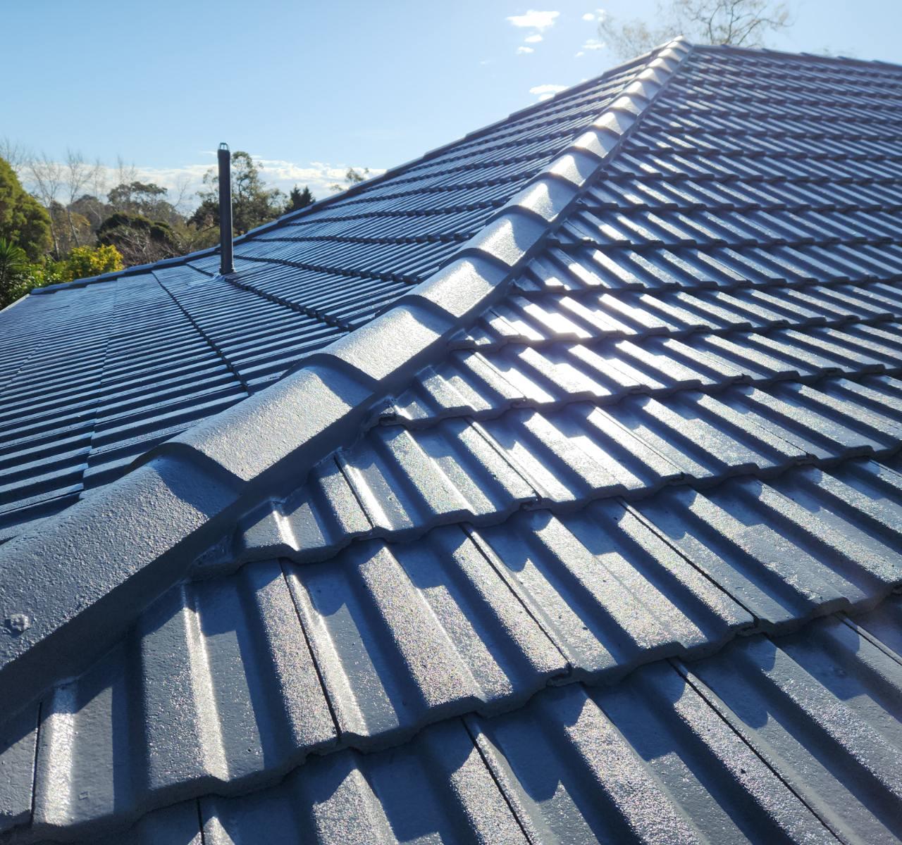 Advanced Roof Care