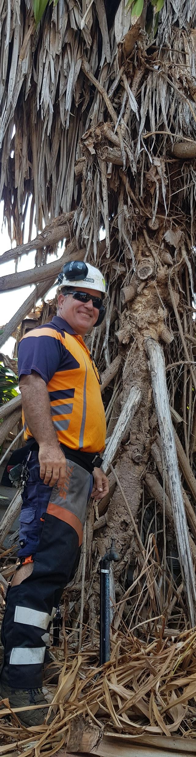 All About Garden Care Darwin