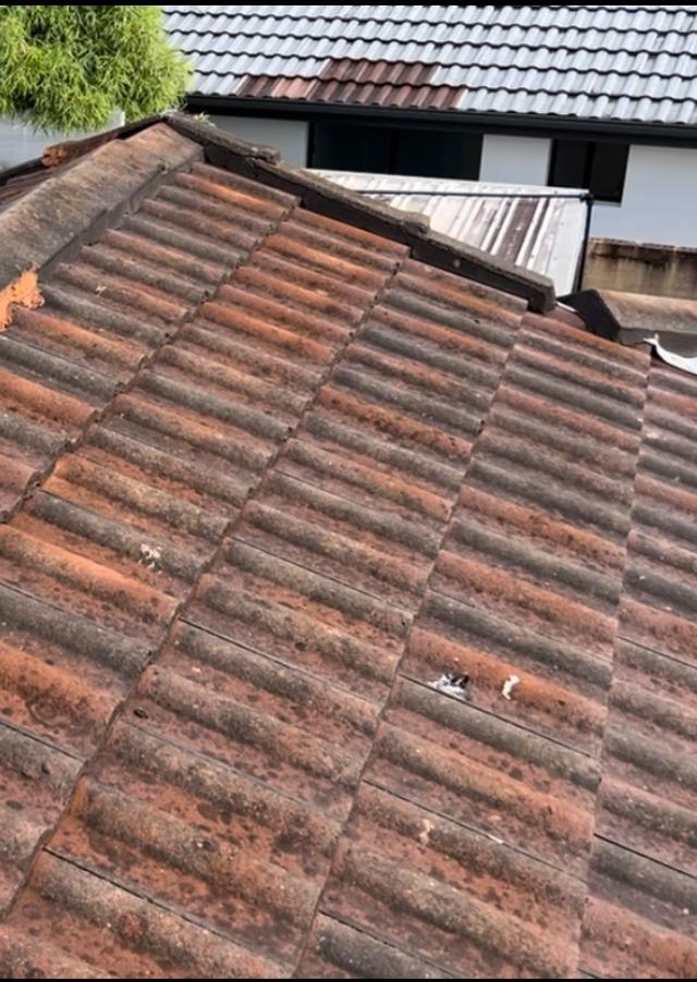 Allens Roofing