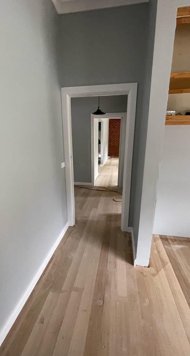 Alleviate Plaster & Paint