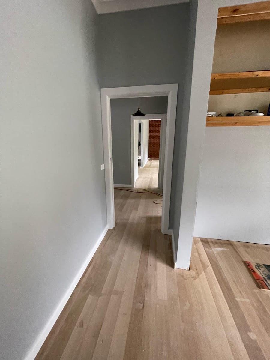 Alleviate Plaster & Paint