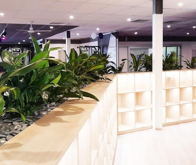 Ambius Indoor Plants Canberra