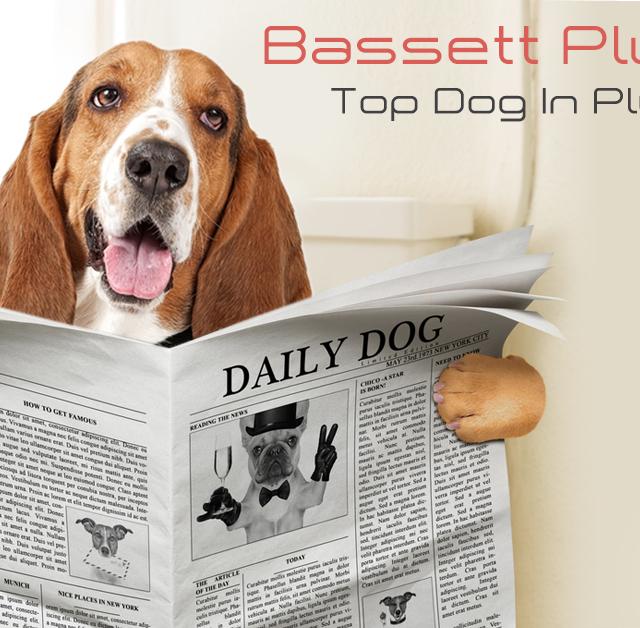 Bassett Plumbing