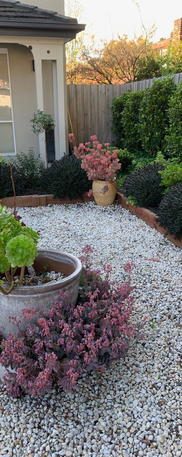 Bayside Garden Care