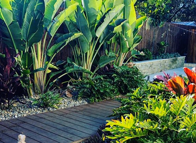 Bird's Backyard Landscapes