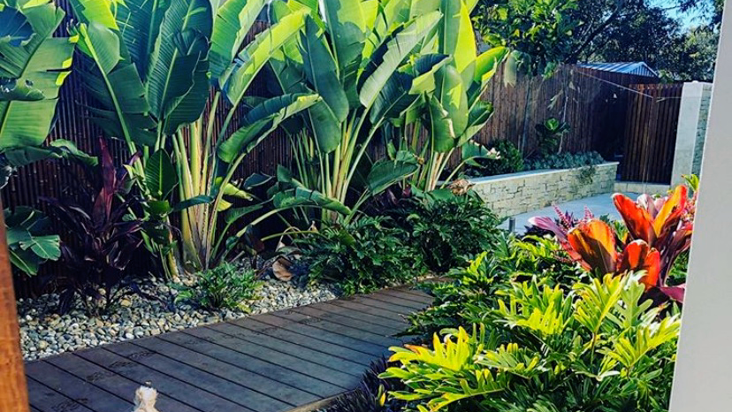 Bird's Backyard Landscapes