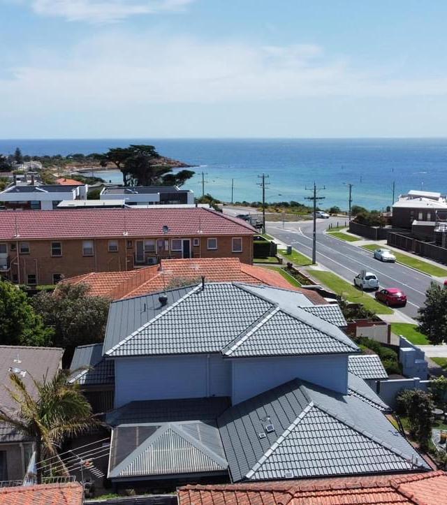 Botanic Roofing and Gutter Cleaning Services