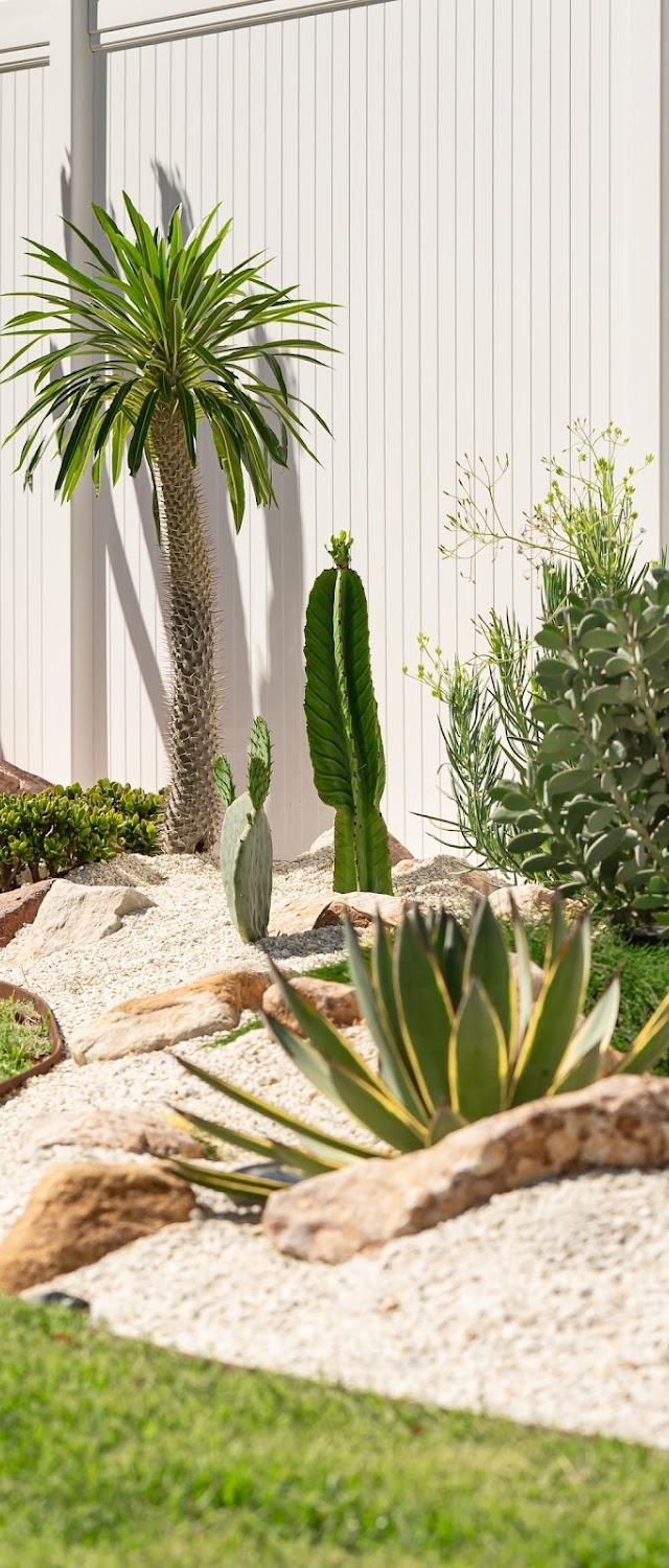 Cactus Thing