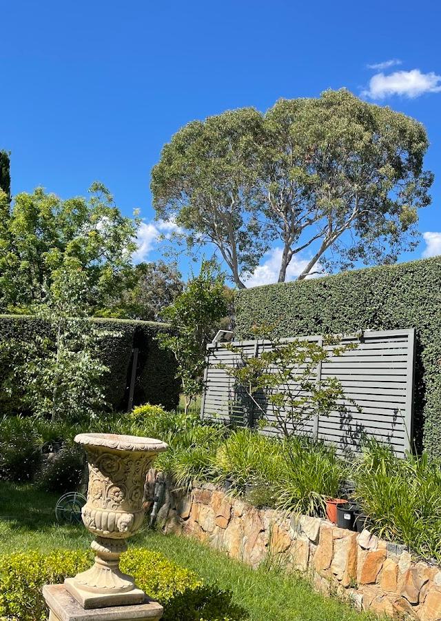 Canberra Hedge and Lawn