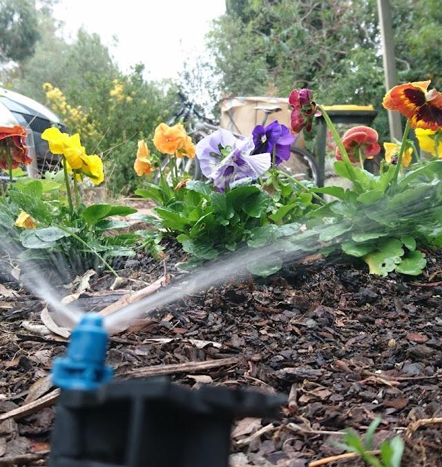 Canberra Irrigation