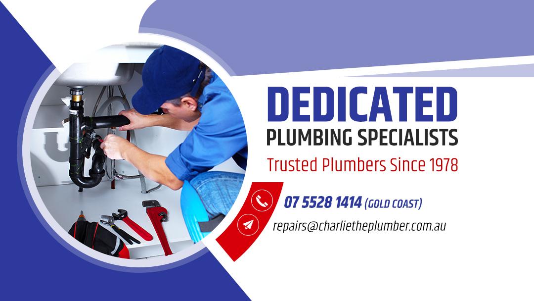 Charlie The Plumber