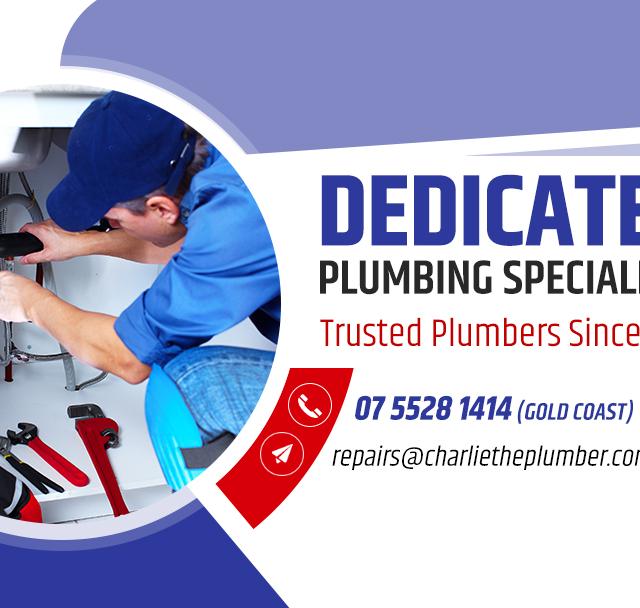 Charlie The Plumber