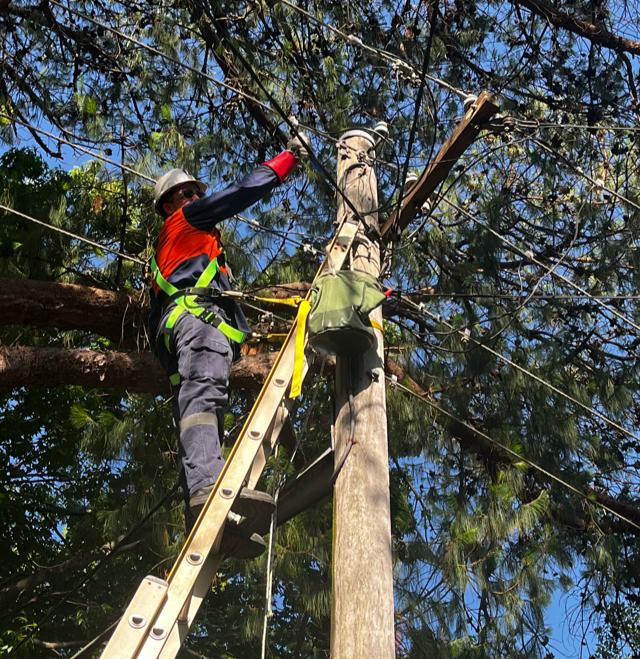 Checked Electrical