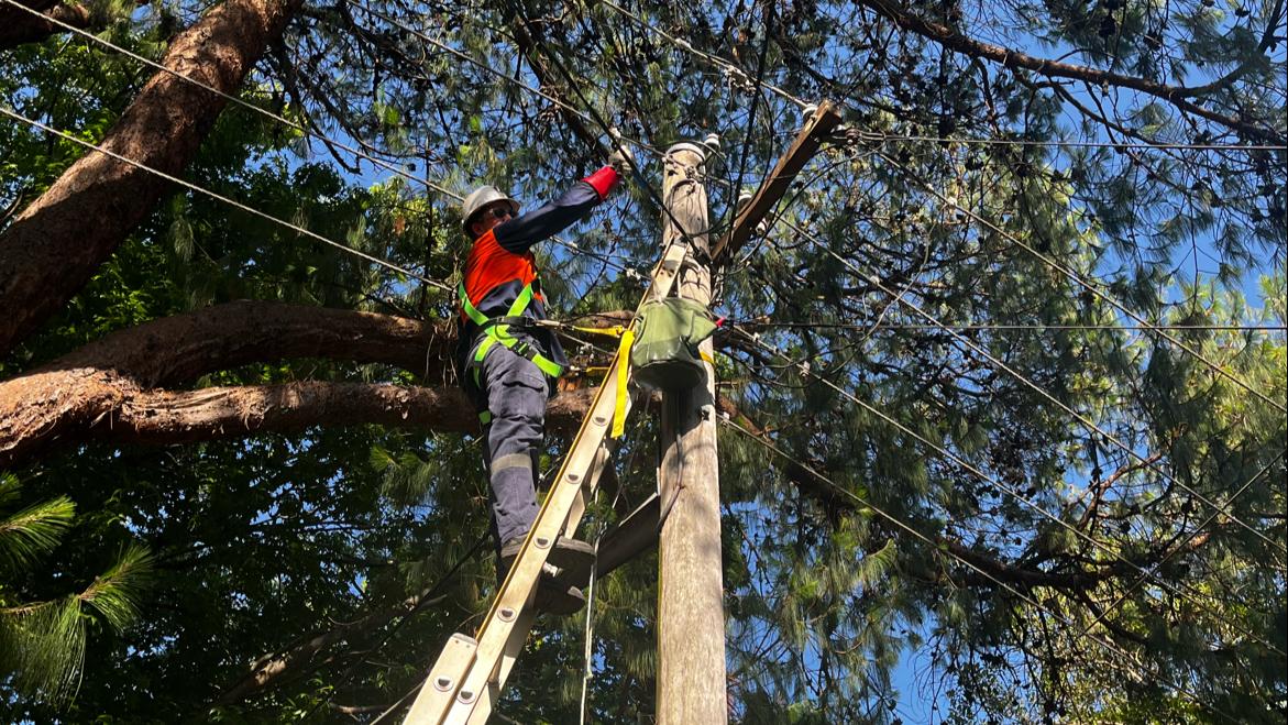 Checked Electrical