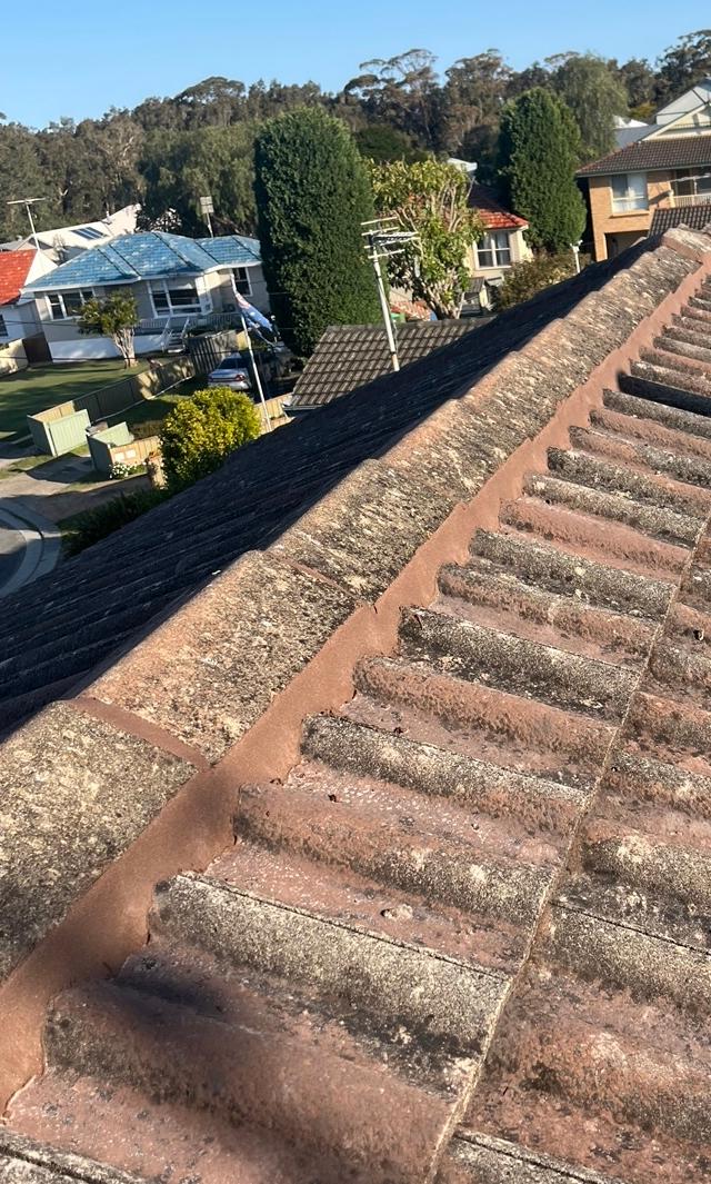 Coastal Roofing Repairs