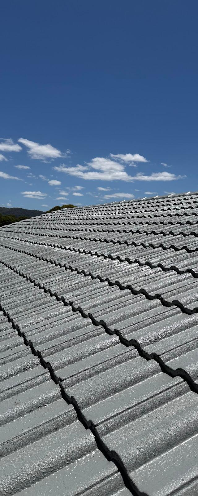 ColourMe Painting Roof Restoration