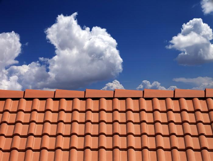 Complete Roof Protection
