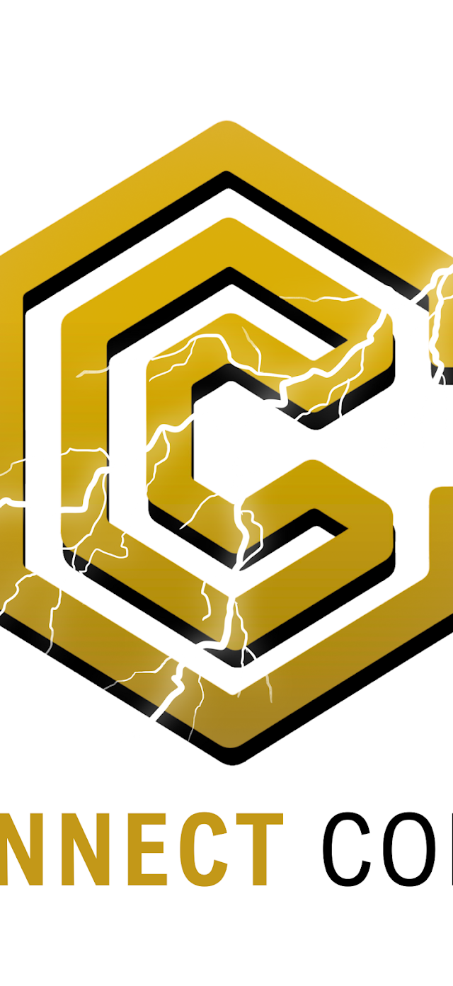 CONNECT CORP. P/L