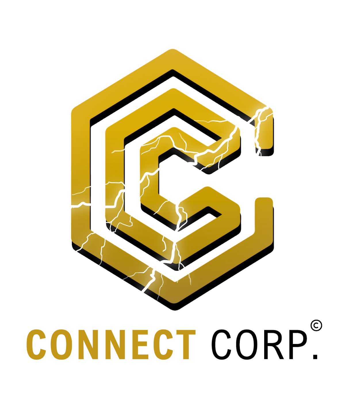 CONNECT CORP. P/L