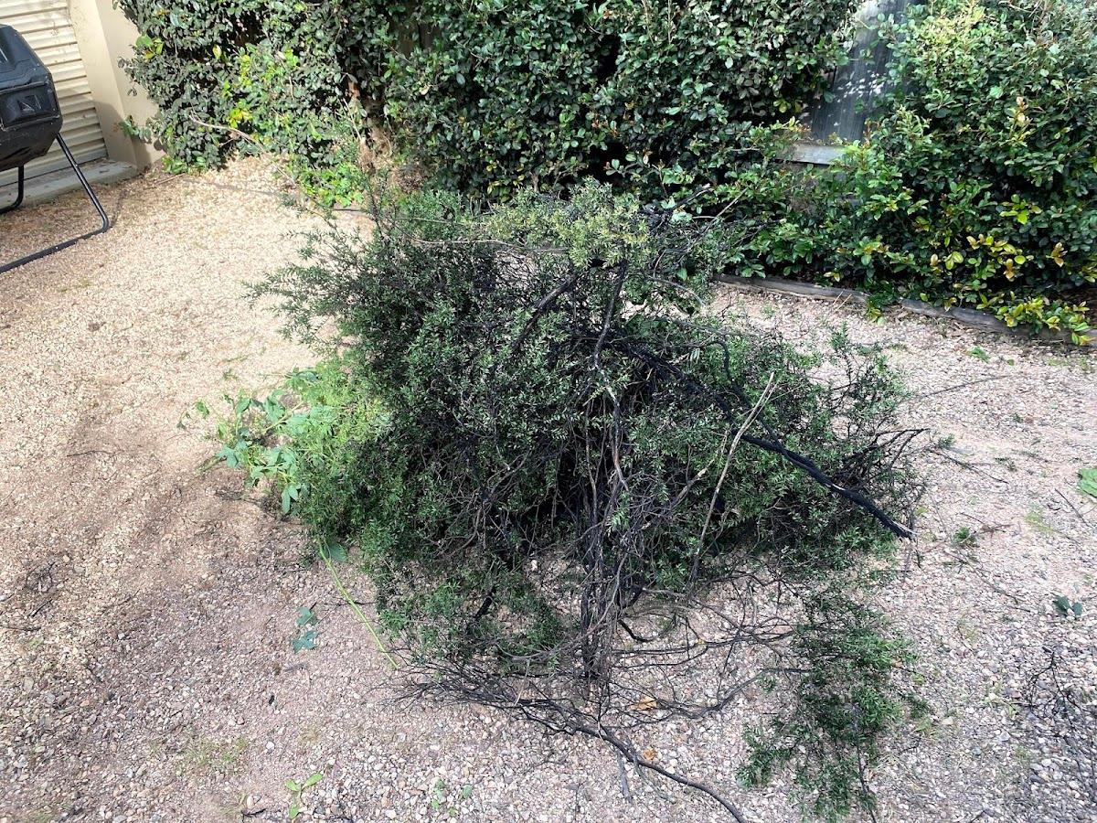Craig J's Gardening