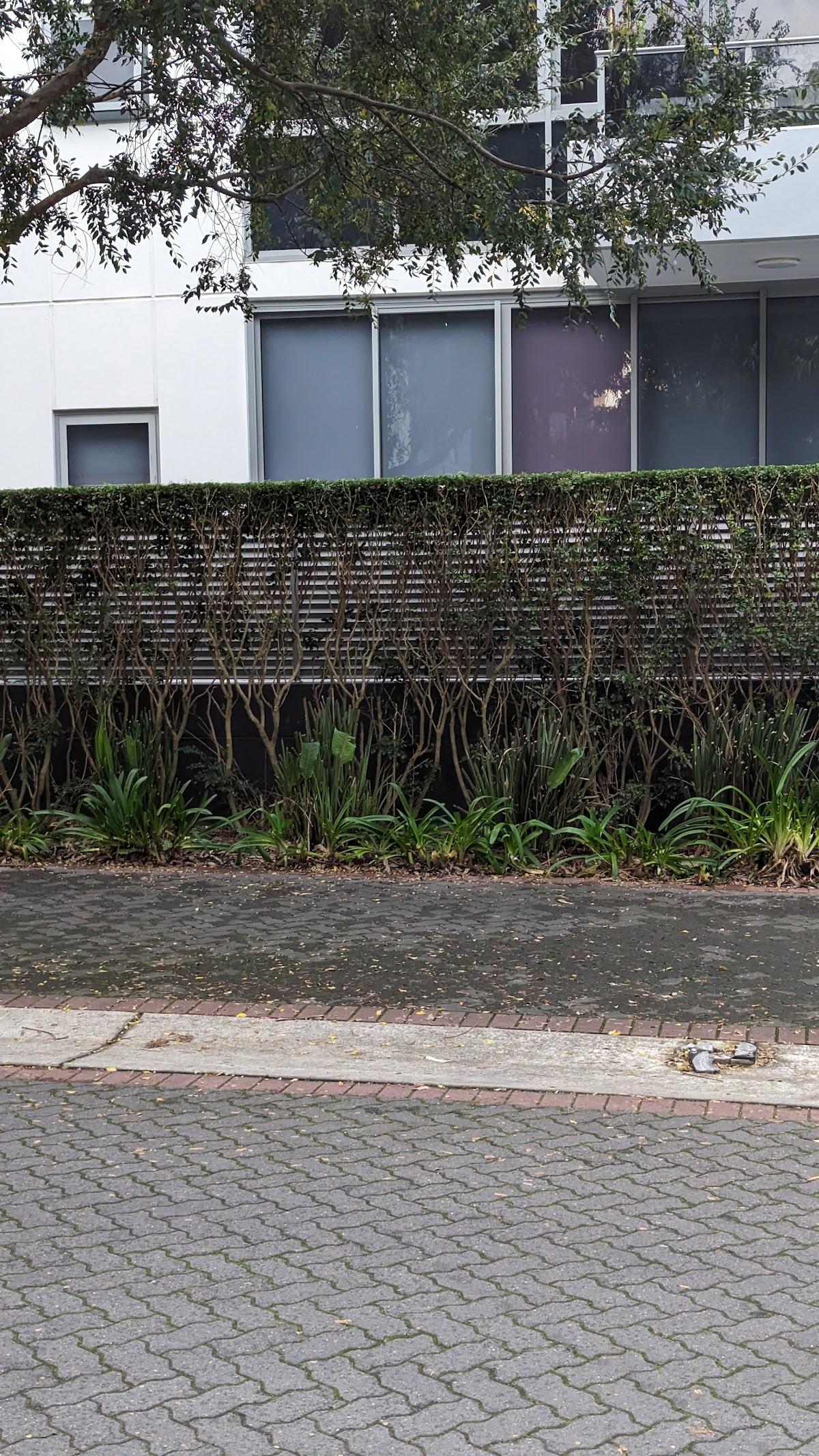 Creating Green Landscapes