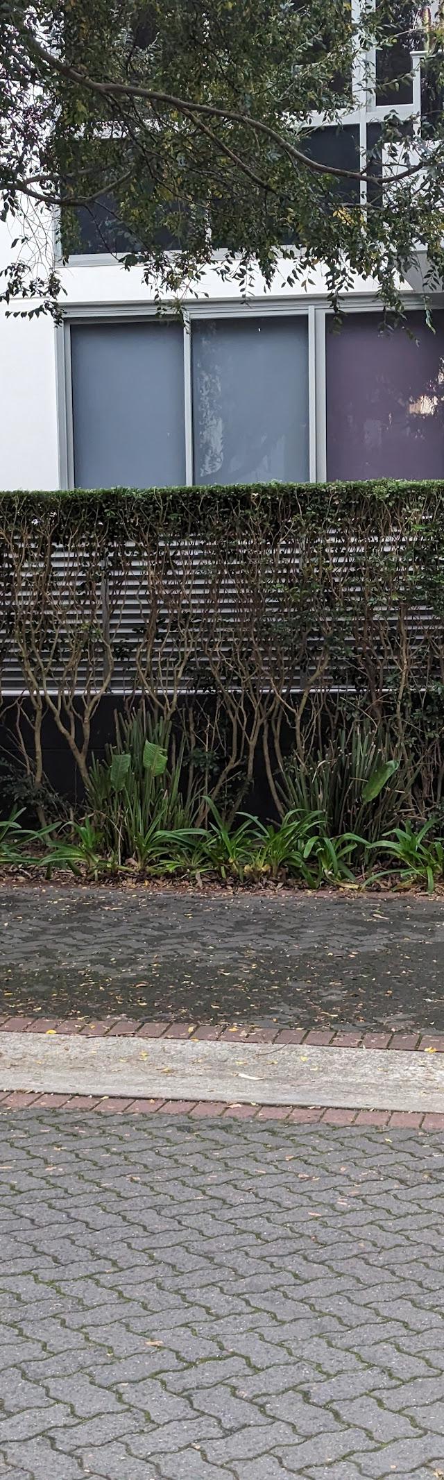 Creating Green Landscapes