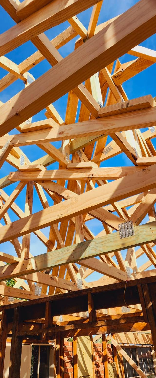 Datum Carpentry