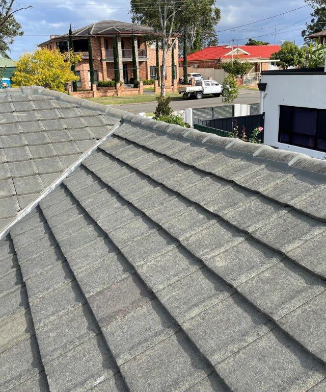 Davlan Roof Tiling and Repairs
