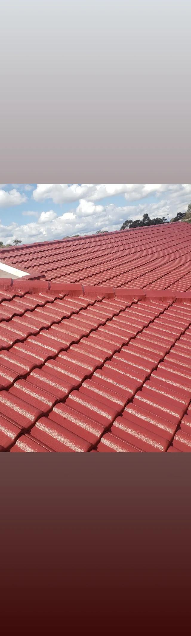 DayLuxe roof painting and repair