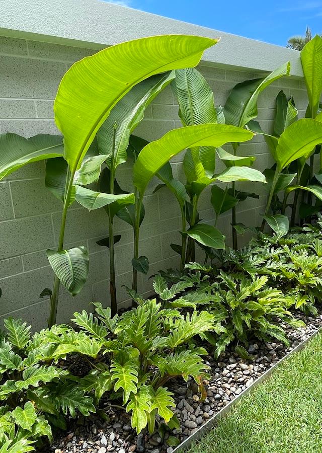 DCM Landscaping