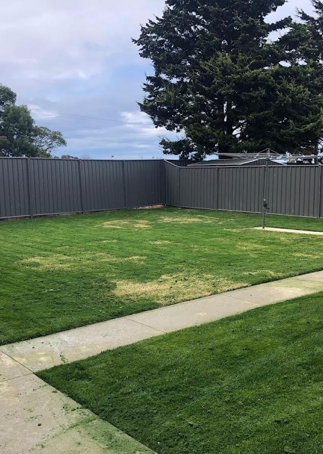 Des's lawns and gardening service