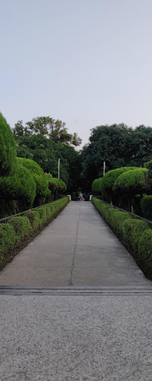 DG. Gardens
