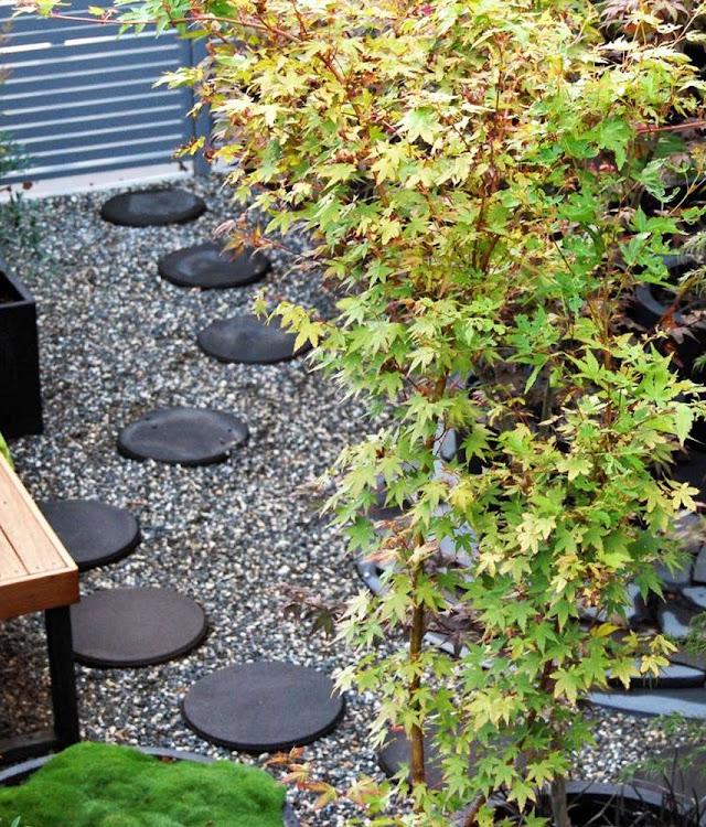 Dimension Gardenscape