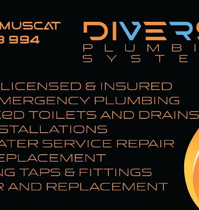 Diverse Plumbing Systems