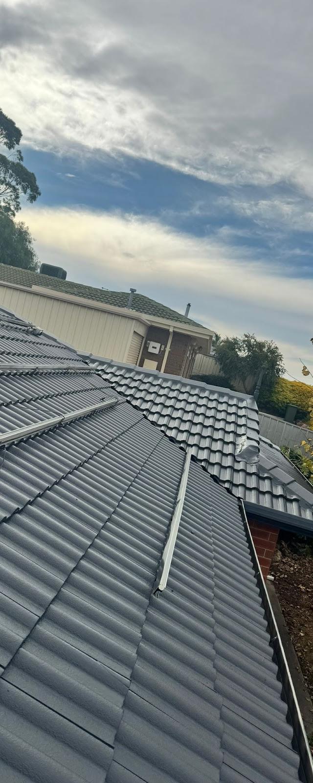 Dolphin Roofing Adelaide - Roof Leak Repairs & Restoration