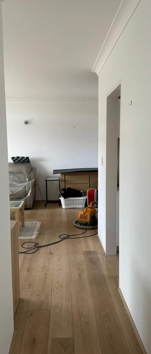 Dr Paint - Painting and Decorating