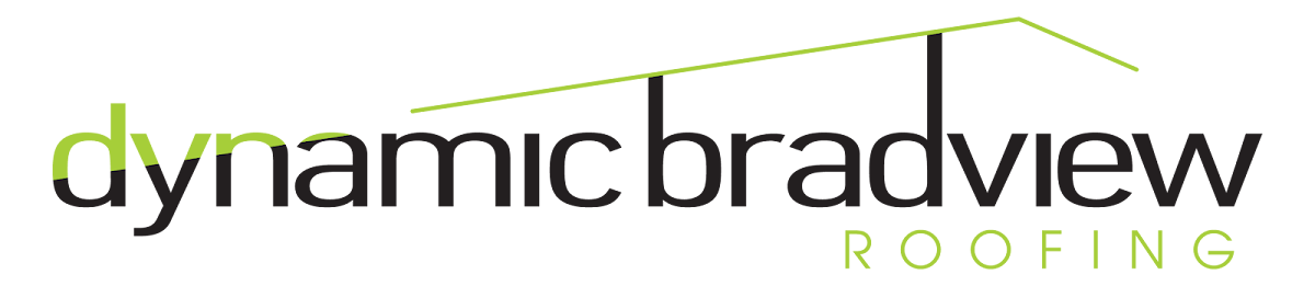Dynamic Bradview Roofing