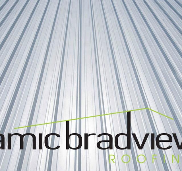 Dynamic Bradview Roofing