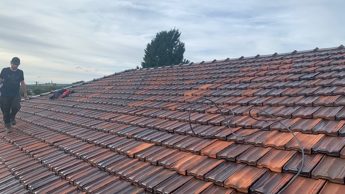 Dynamic Roofing and Guttering