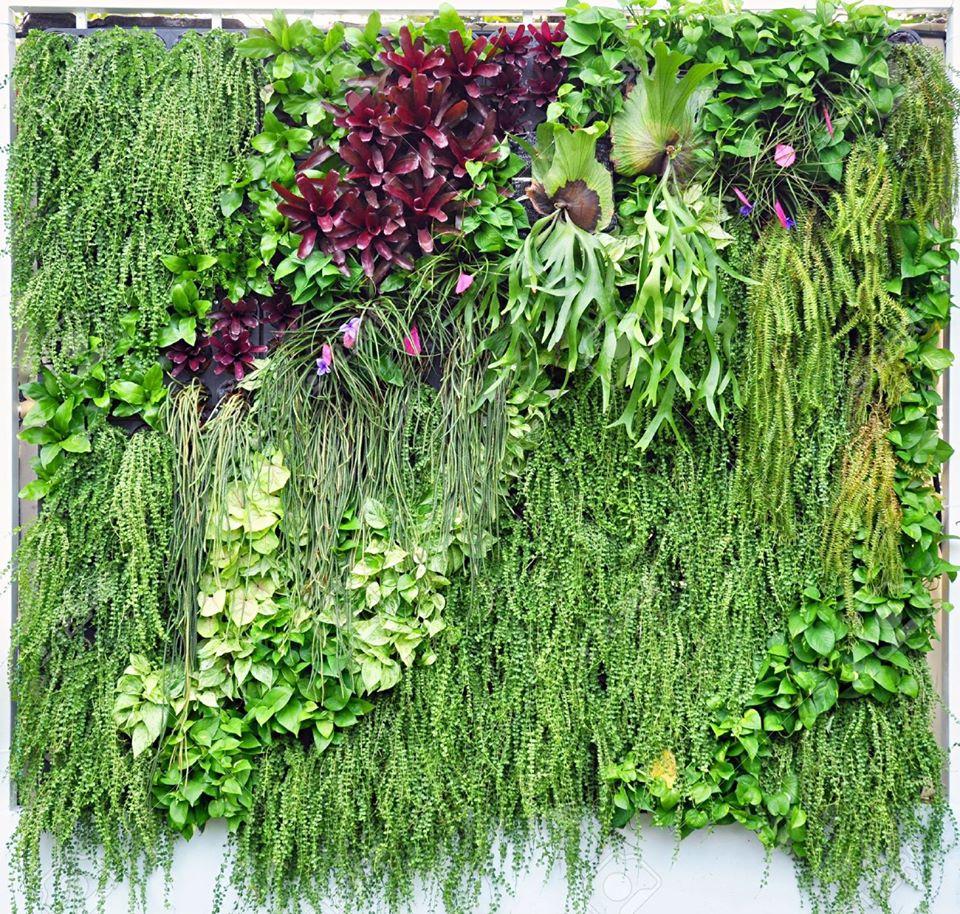Earthly Projects and Landscaping PTY LTD