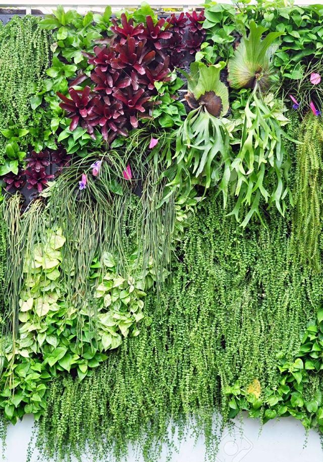 Earthly Projects and Landscaping PTY LTD