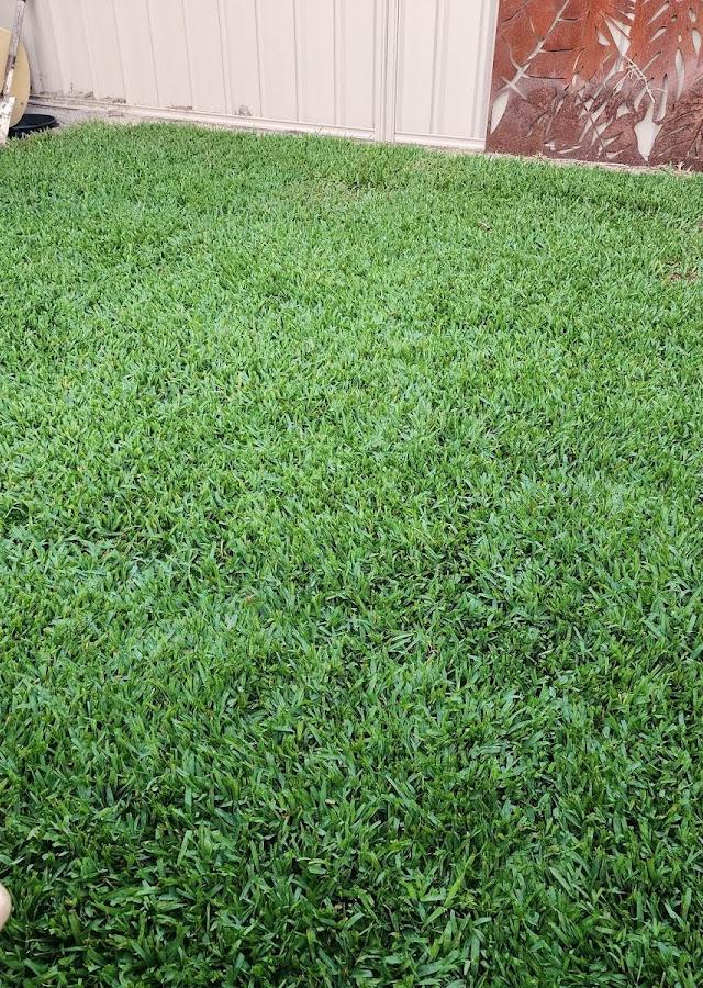 EJS Landscaping and Gardening