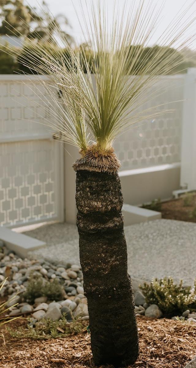 Elleven Landscapes Pty Ltd