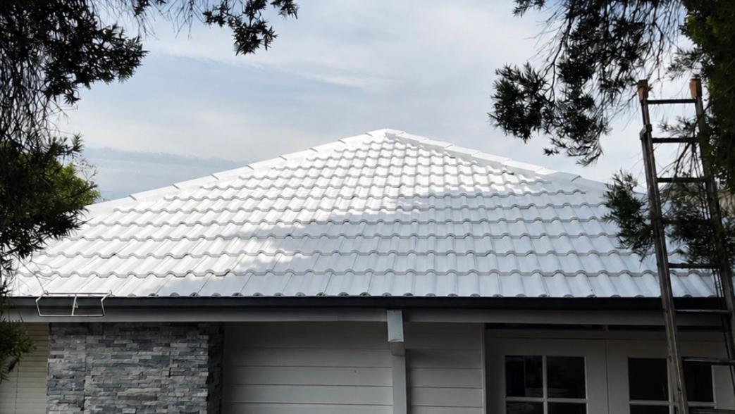 Enhanced Paint and Roof Restoration
