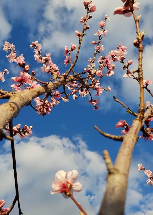 Evolve Gardening And Landscaping