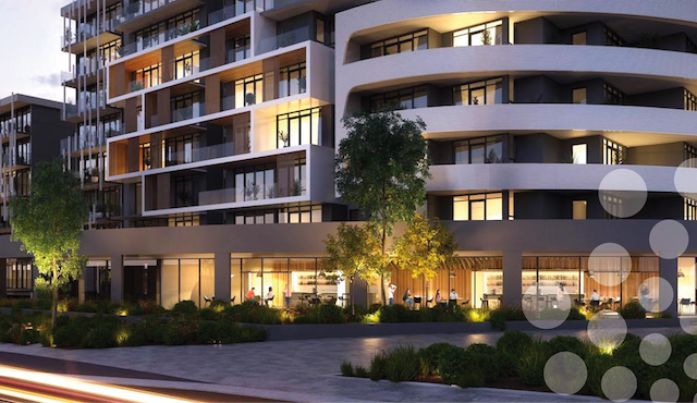 Ficus Landscape Group