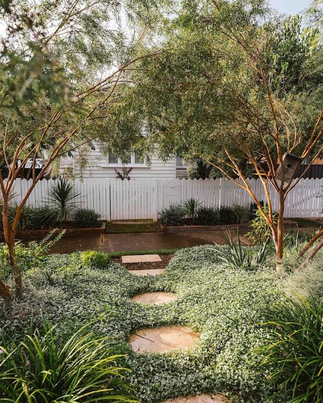 Fluro Gardens